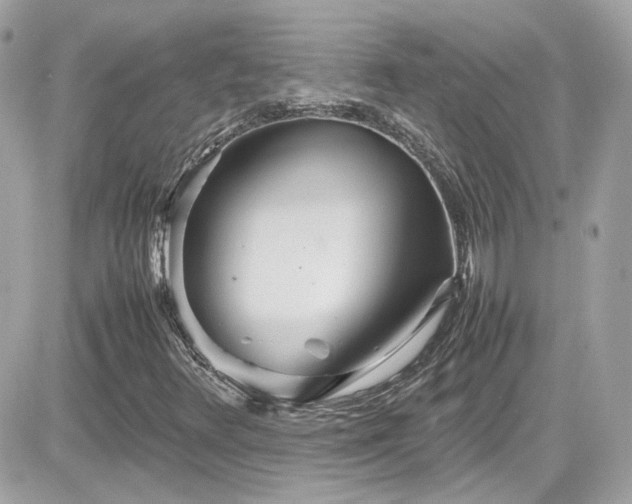 X0000081591348200701221042