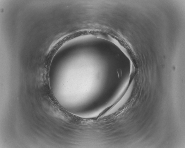 X0000081591352200701221042