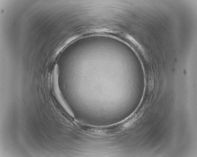 X0000081591361200701221042