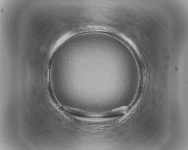 X0000081591365200701221042