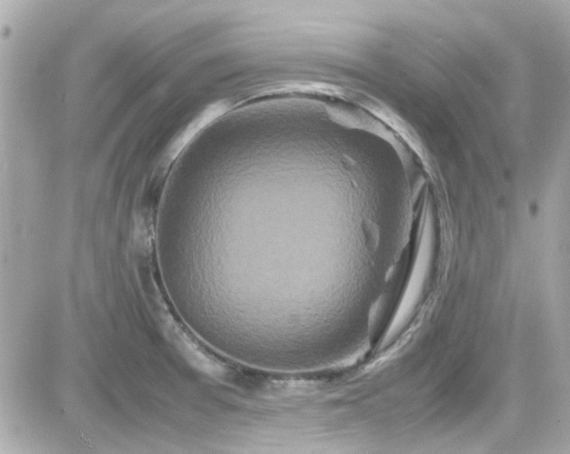 X0000081591377200701221042