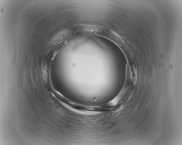 X0000081591394200701221041