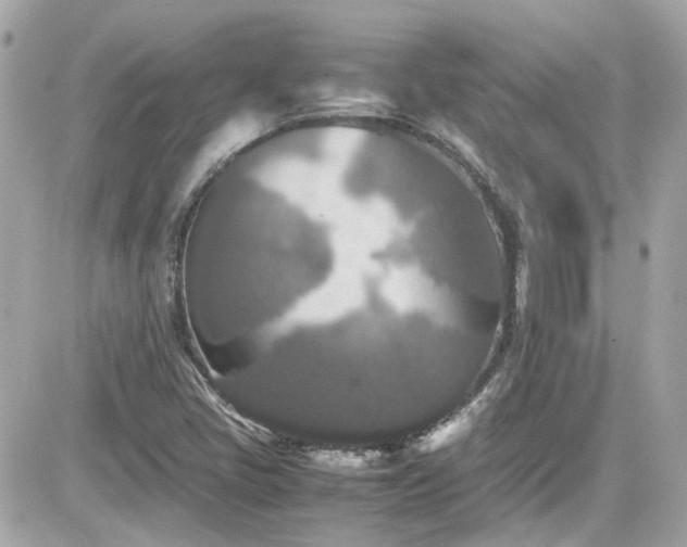 X0000081591405200701221041