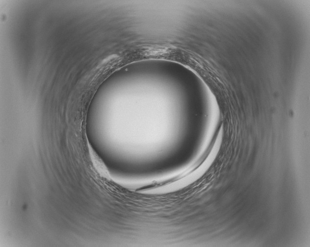 X0000081591441200701221041