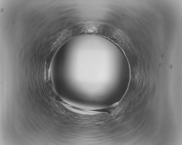 X0000081591442200701221041