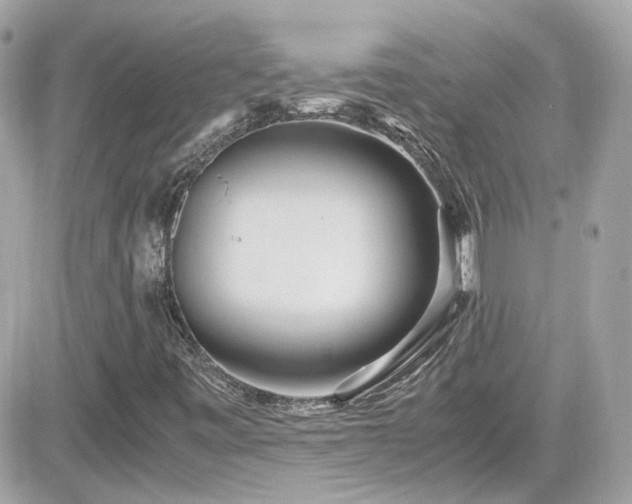 X0000081591443200701221041