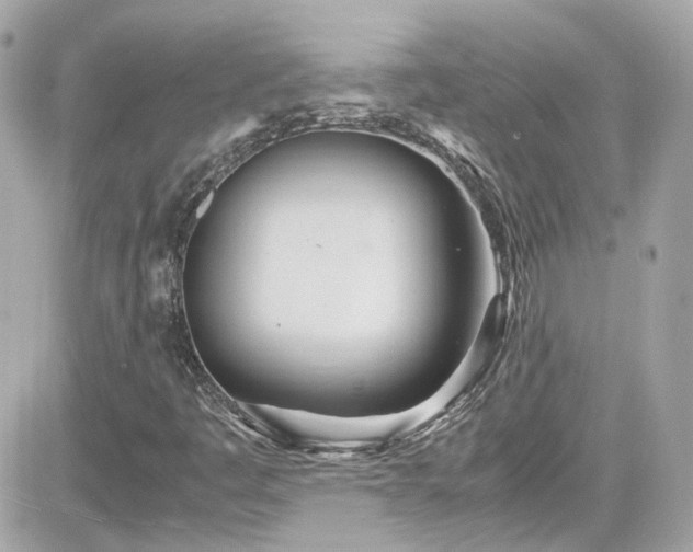 X0000081591445200701221041