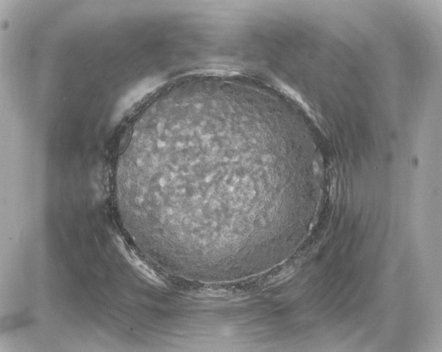 X0000081591448200701221041