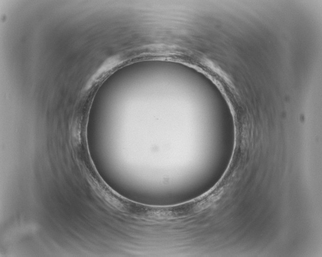 X0000081591451200701221041