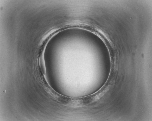 X0000081591453200701221041