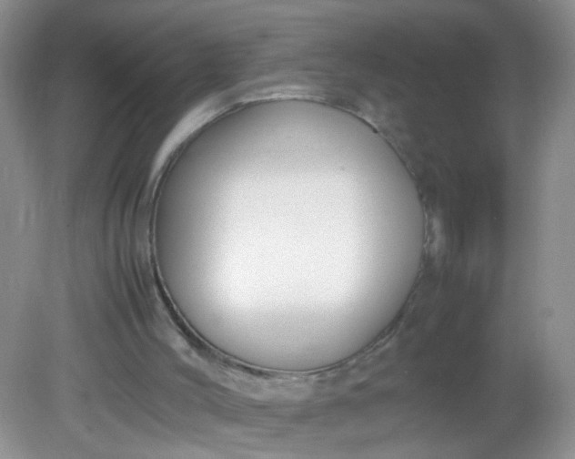 X0000081590004200701291331