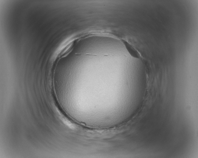 X0000081590005200701291331