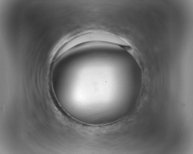 X0000081590007200701291331