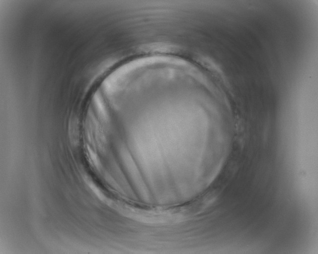 X0000081590012200701291331