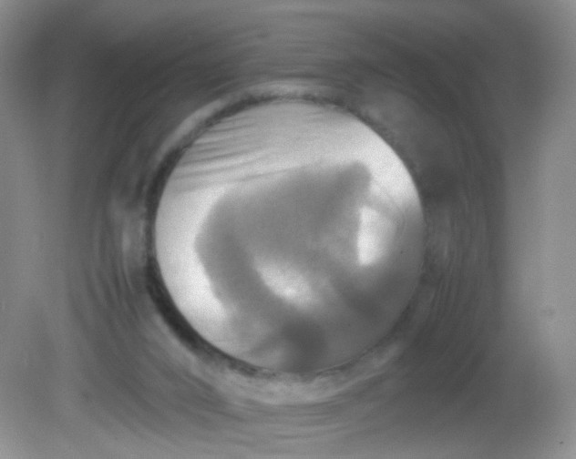X0000081590016200701291331