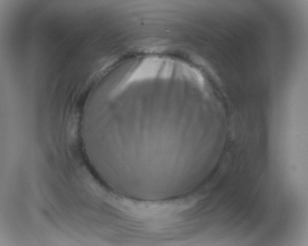 X0000081590018200701291331