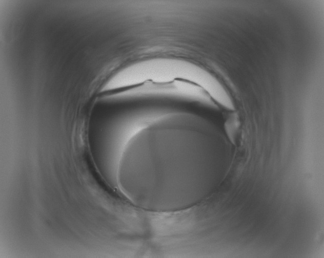 X0000081590023200701291331