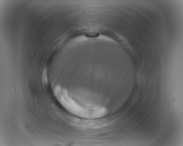 X0000081590026200701291331