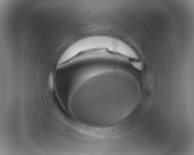 X0000081590027200701291331