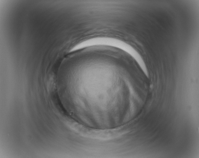 X0000081590029200701291331