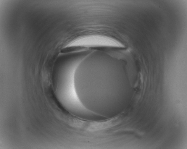 X0000081590031200701291331