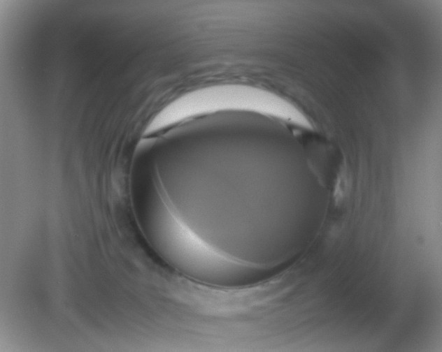 X0000081590035200701291331