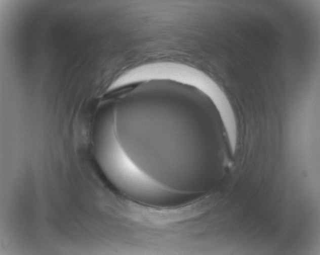 X0000081590039200701291331