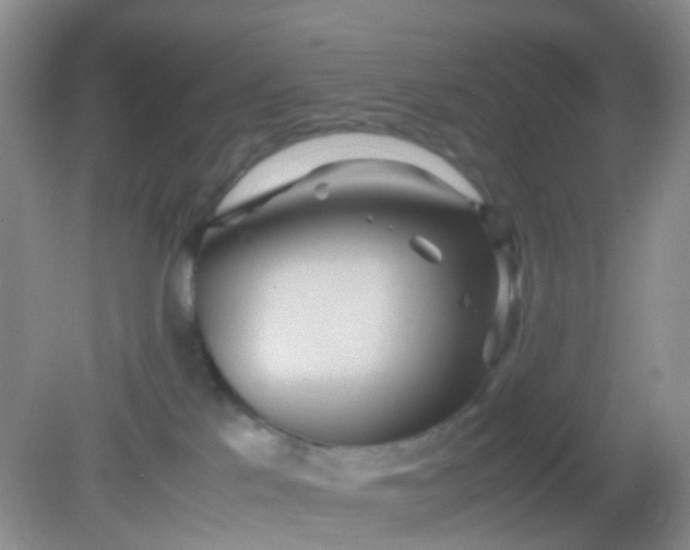X0000081590041200701291331