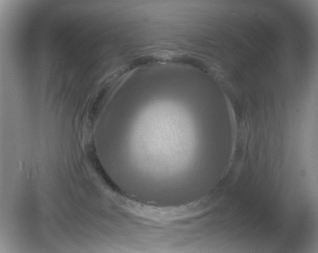 X0000081590043200701291330
