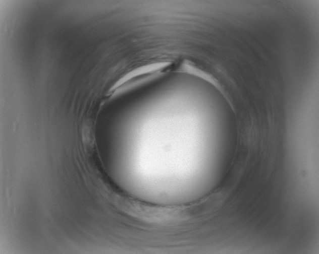 X0000081590044200701291330