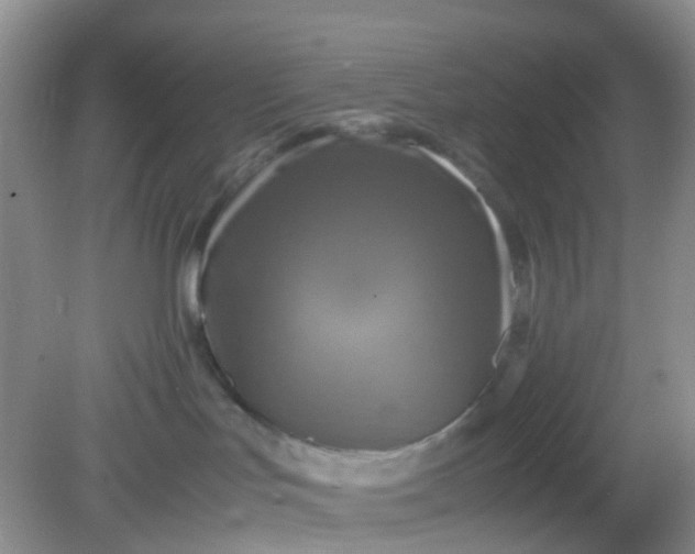 X0000081590047200701291330