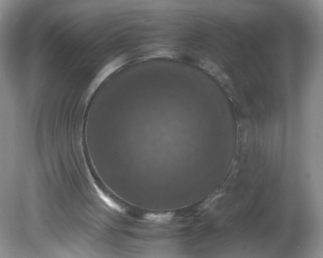 X0000081590051200701291330