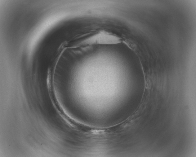 X0000081590052200701291330
