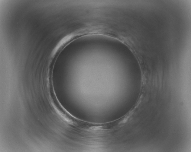 X0000081590054200701291330