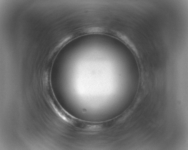 X0000081590057200701291330