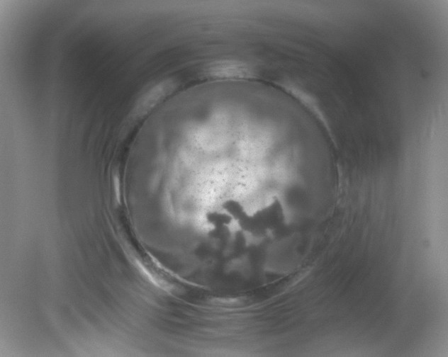 X0000081590061200701291330
