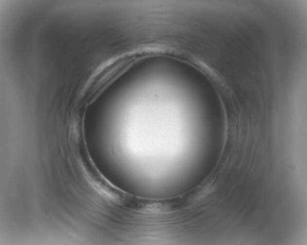 X0000081590064200701291330