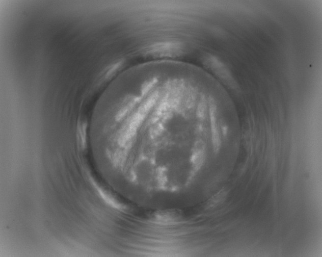 X0000081590070200701291330