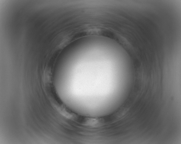 X0000081590083200701291330