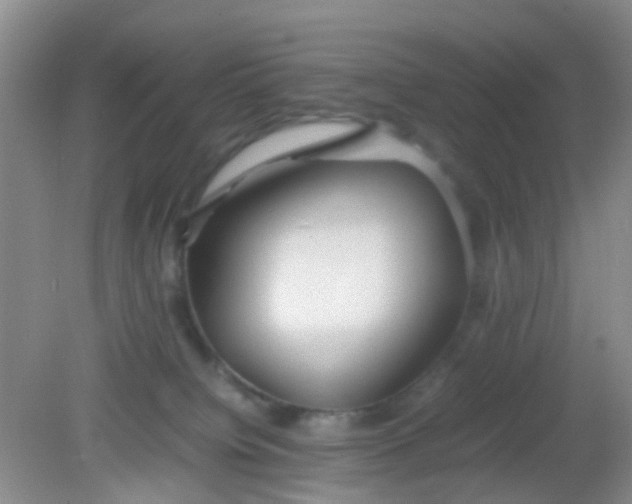 X0000081590084200701291330
