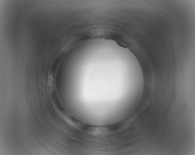 X0000081590087200701291330