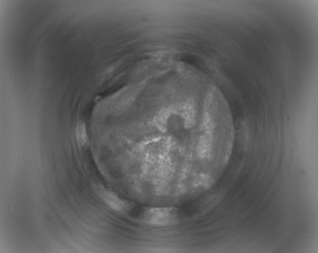X0000081590089200701291330