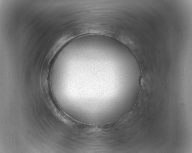 X0000081590098200701291330