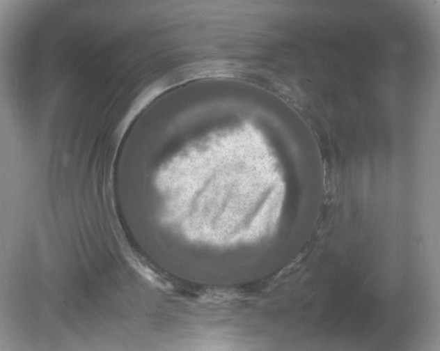 X0000081590099200701291330