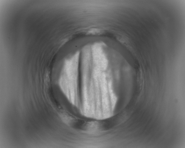 X0000081590127200701291329