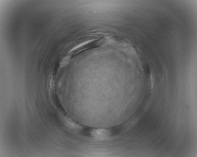 X0000081590137200701291329