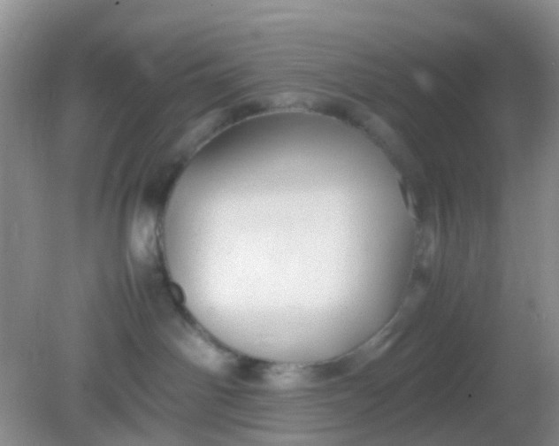 X0000081590142200701291329