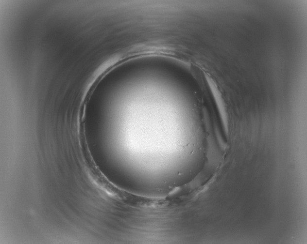 X0000081590148200701291328