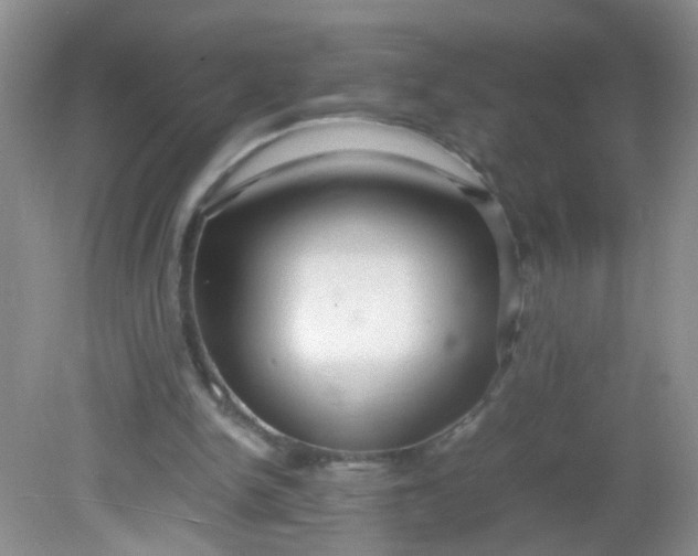 X0000081590150200701291328