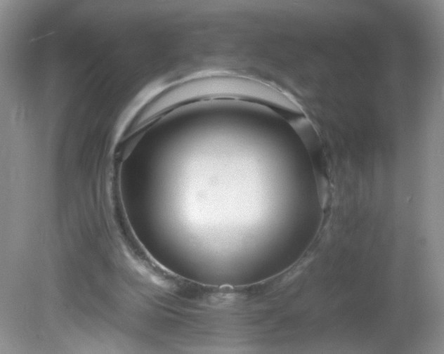 X0000081590152200701291328